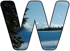 Winter-Buchstabe-W.jpg